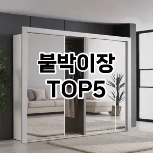 붙박이장