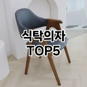 식탁의자